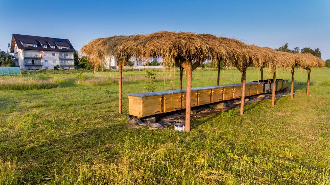Agroturystyka Sikorki Lubomierz (Lower Silesia) Exterior foto